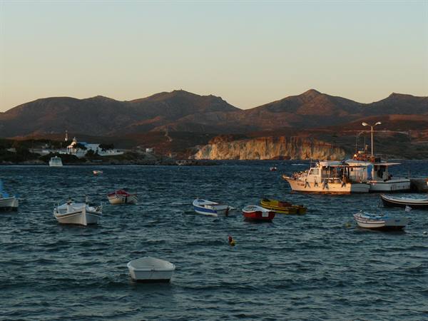 Pollonia