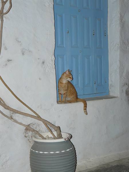 Plaka