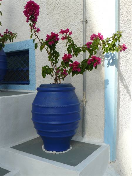 Adamas