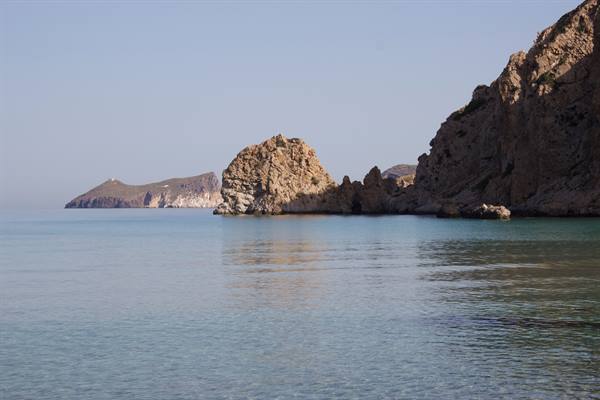 Plathiena