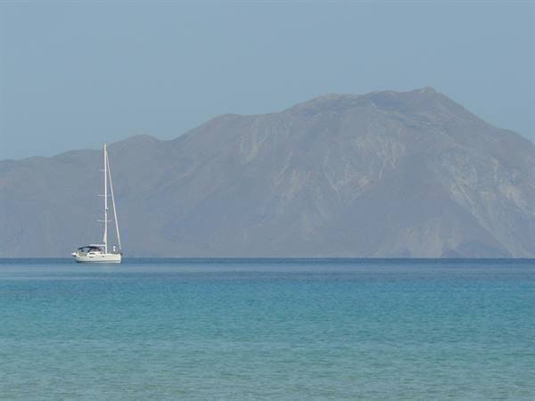 Plathiena