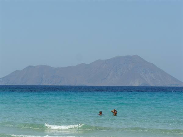 Plathiena