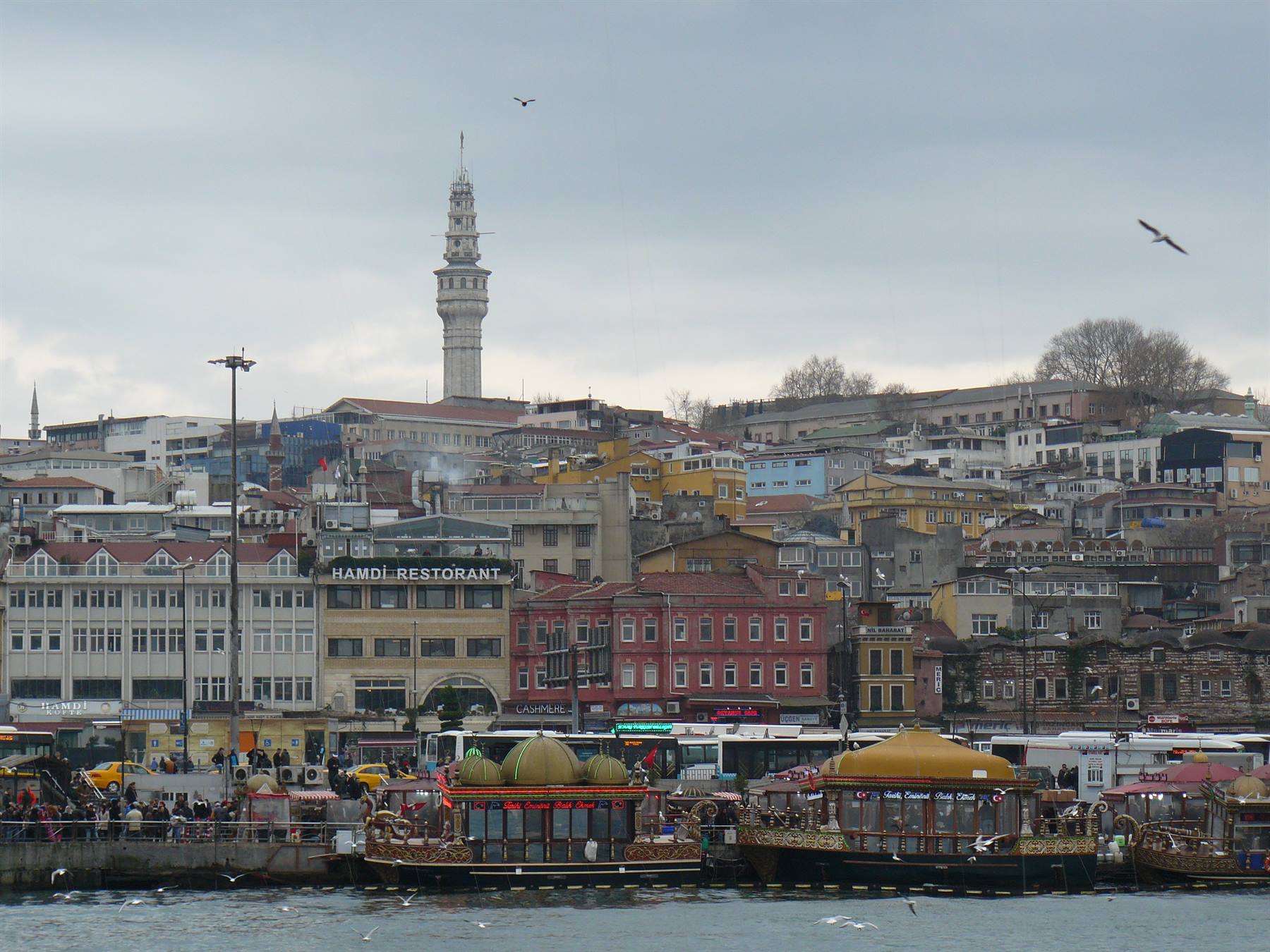 Panorama