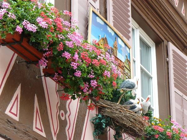 Colmar