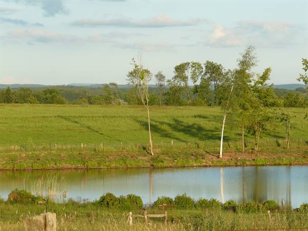 The countryside around Épinal