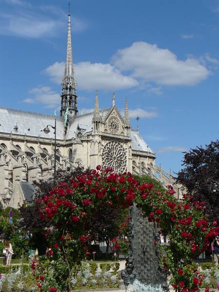 Notre Dame from the Latin Quarter