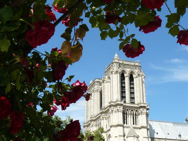Notre Dame from the Latin Quarter