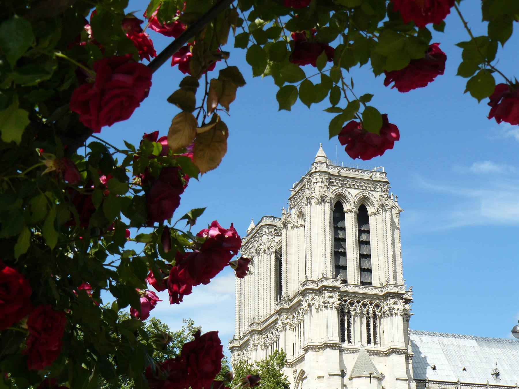 Notre Dame dal Quartiere Latino