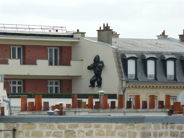 Parisian rooftops
