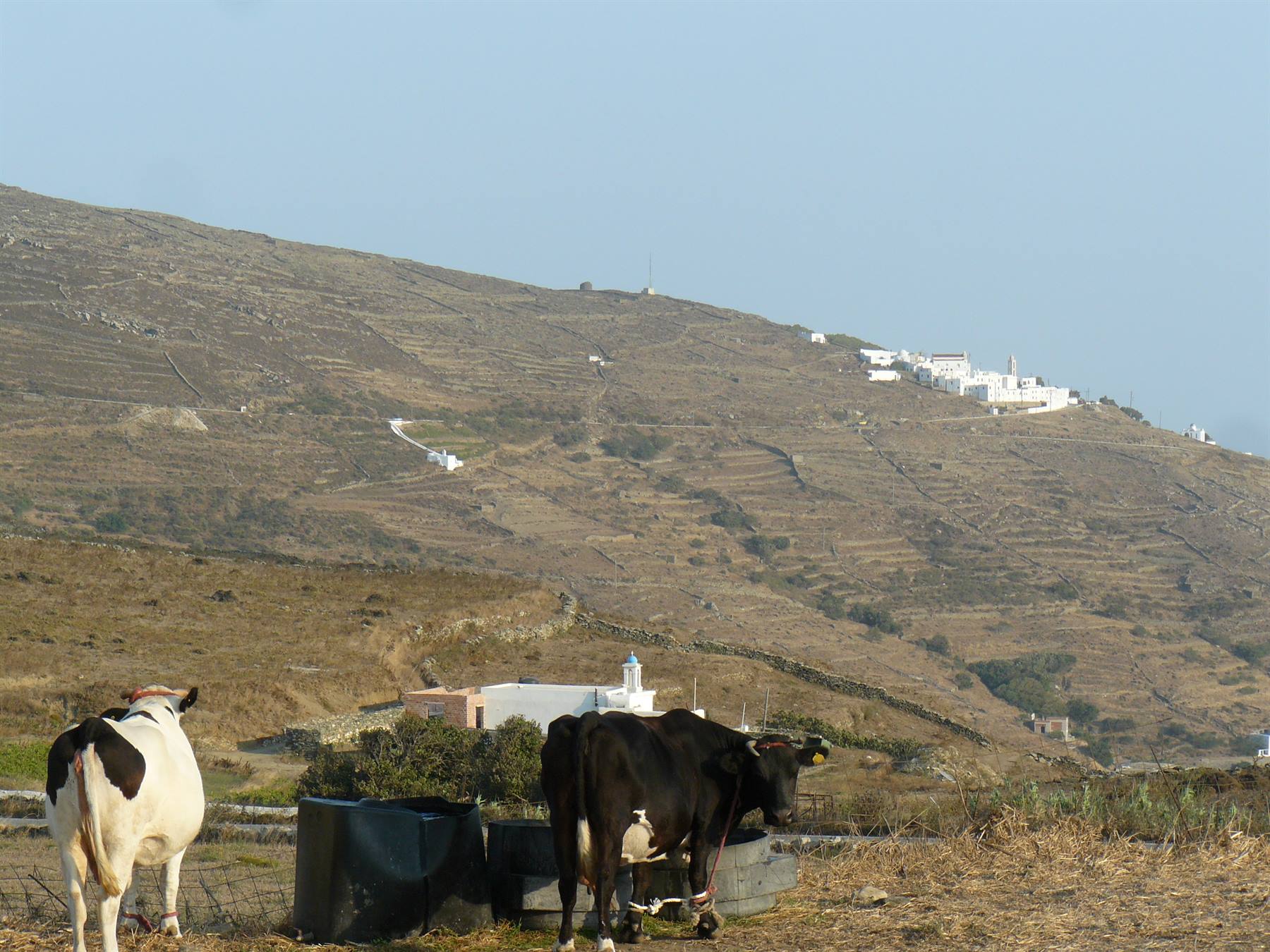 Sulle strade di Tinos - Vista su Monastiri