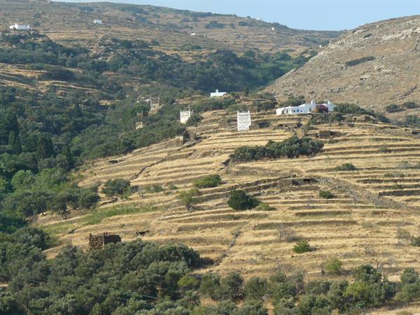 On the roads of Tinos 