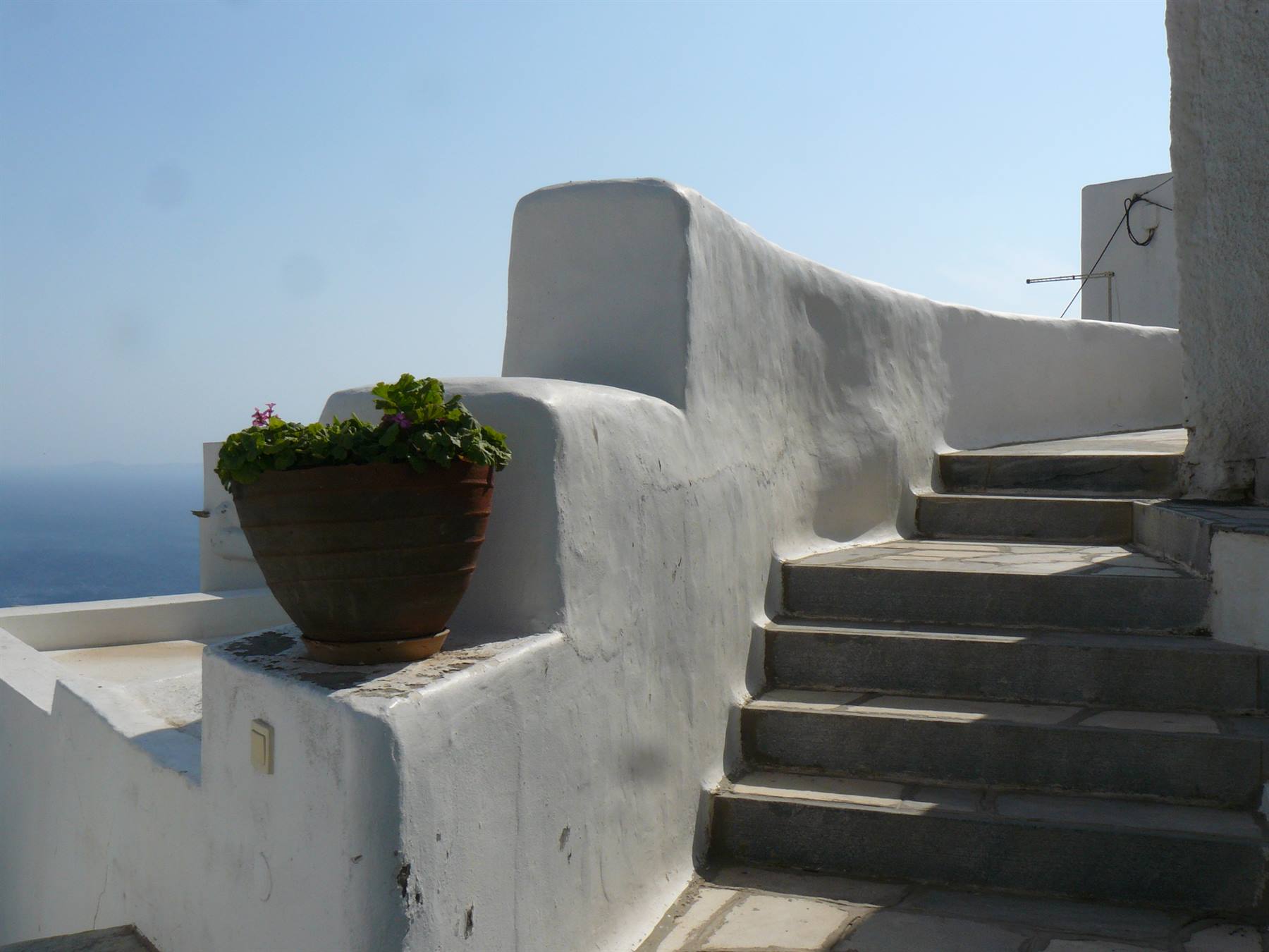 Kardiani