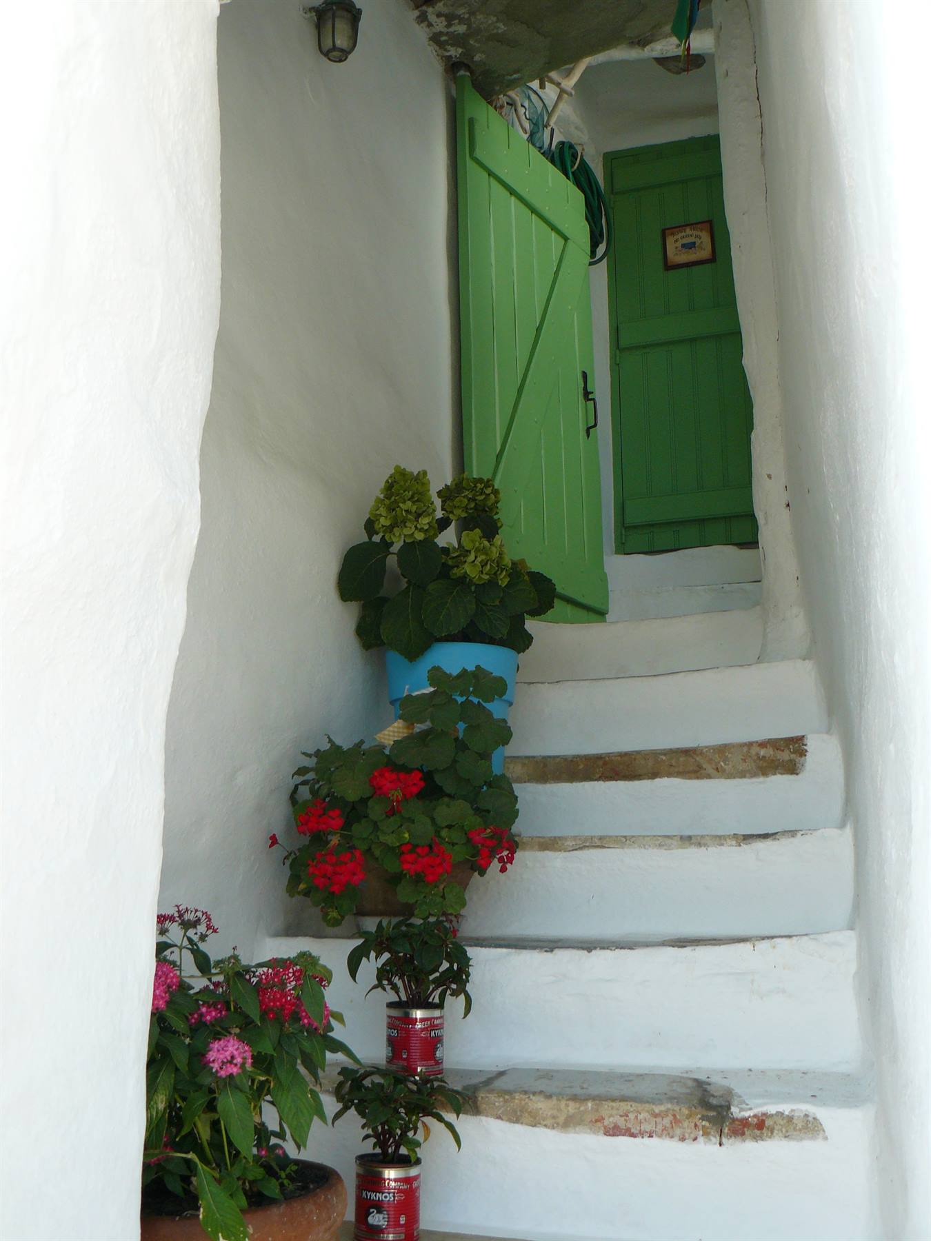 Kardiani
