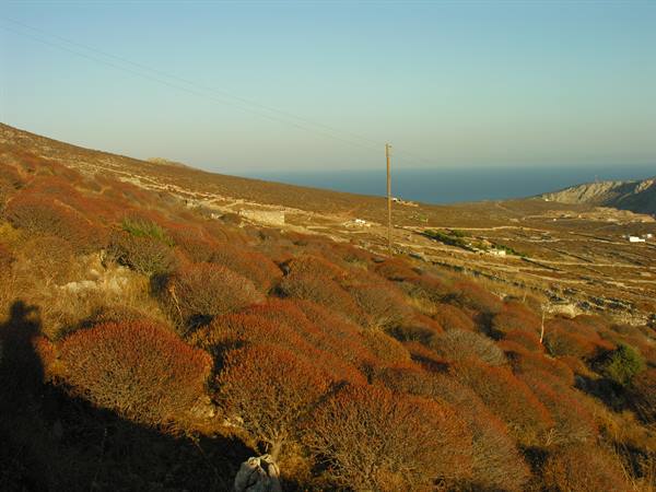 Chora - Towards the Sanctuary - View of Karovastis