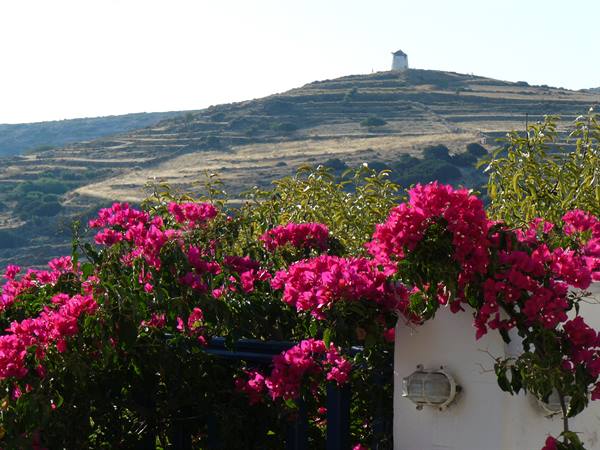Lefkes Village