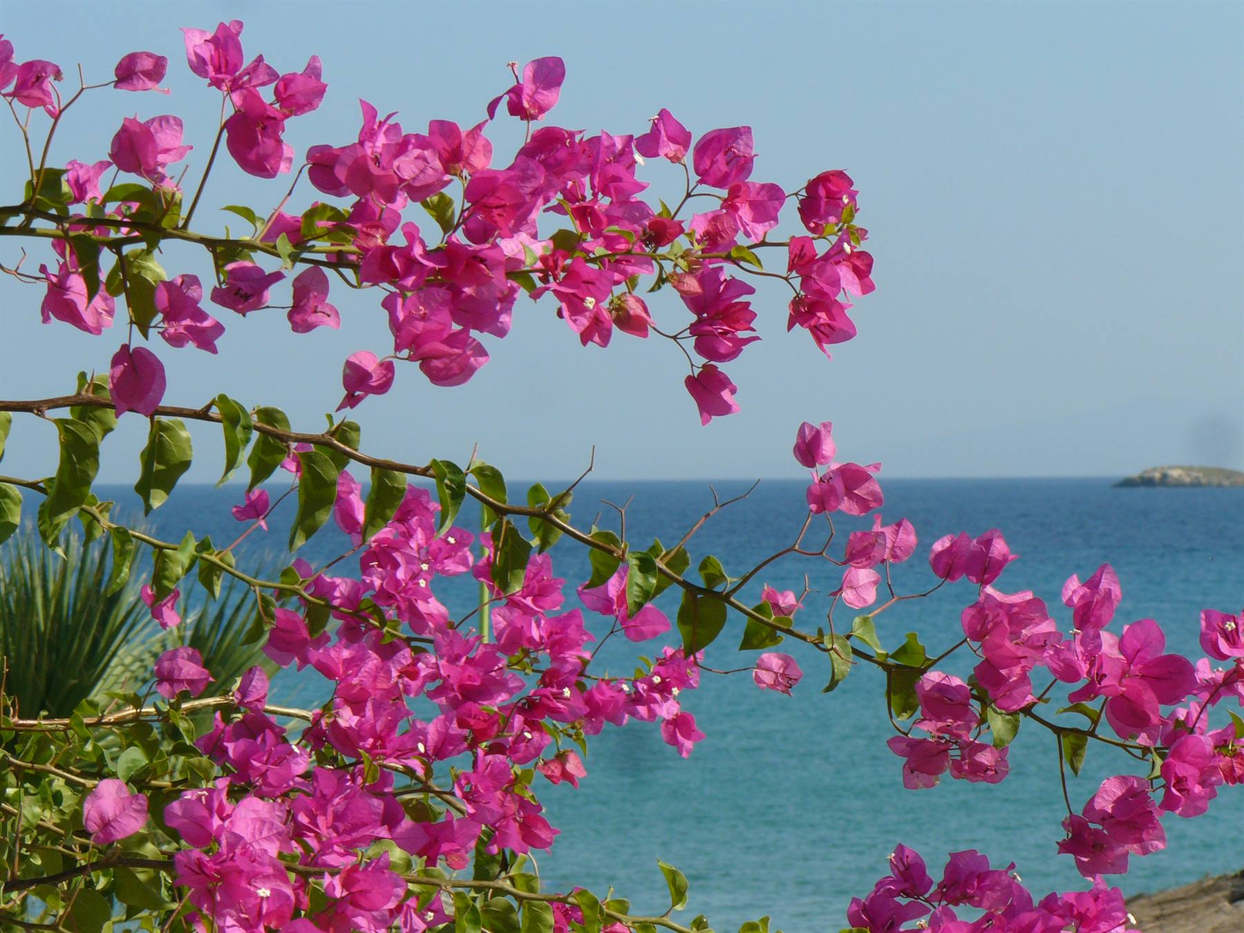 Punda Beach