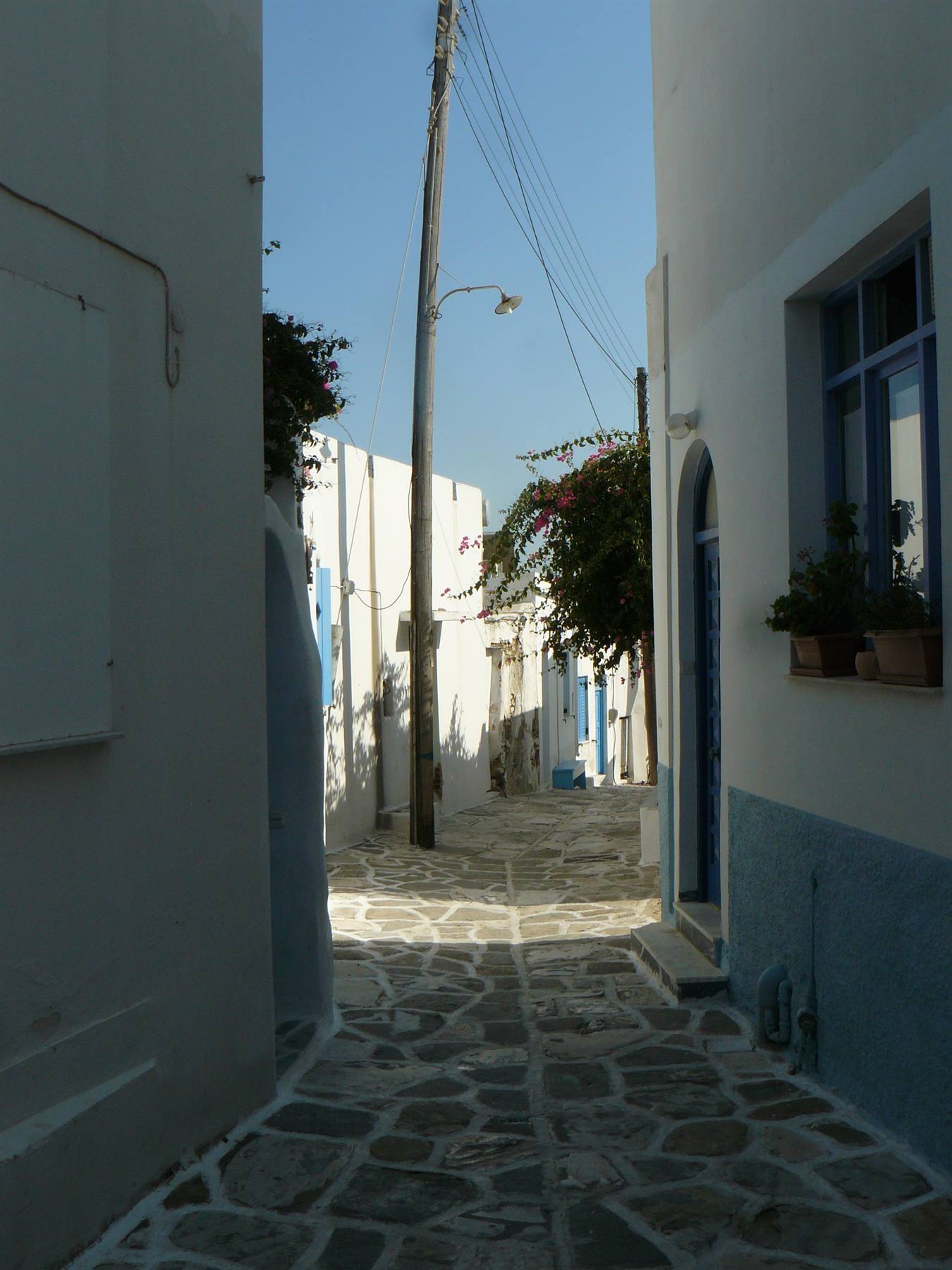 Prodromos