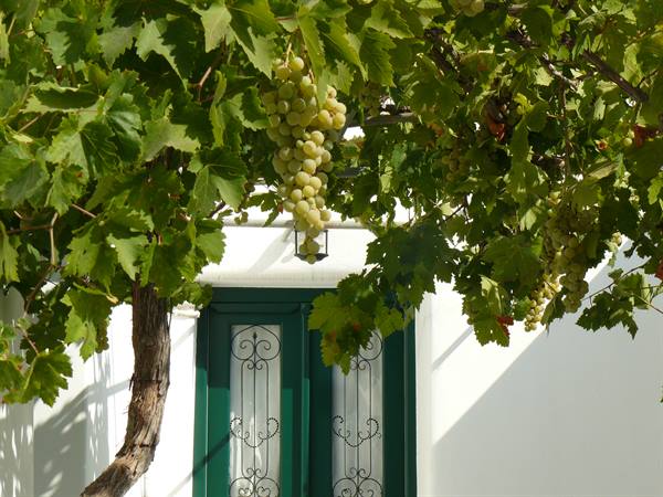 Prodromos