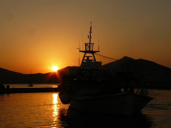 Naoussa