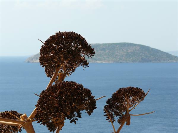 On the way to Sounion