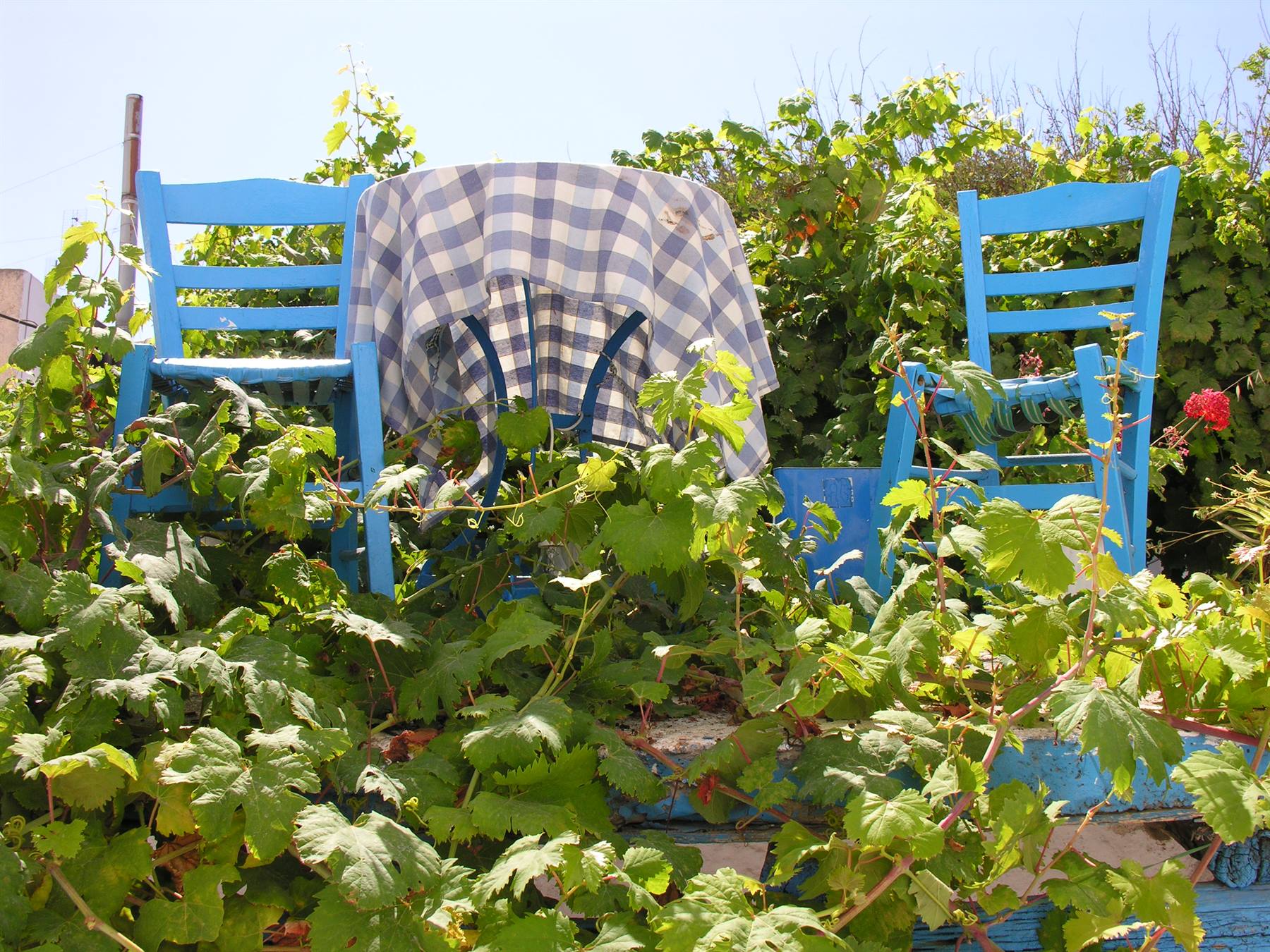 Chora