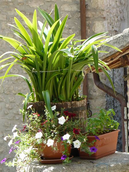 Among the alleys of the village
