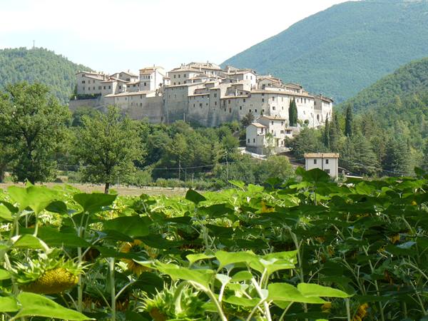 View of the village 