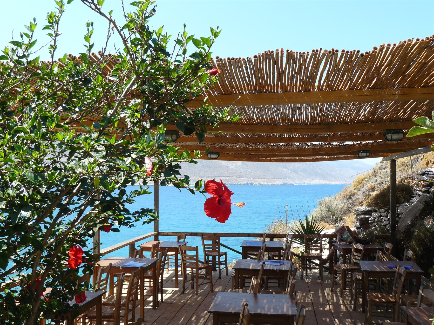 Tavoli di legno sotto pergolato di canne, fiore rosso e mare turchese