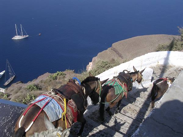 Descent to the old port