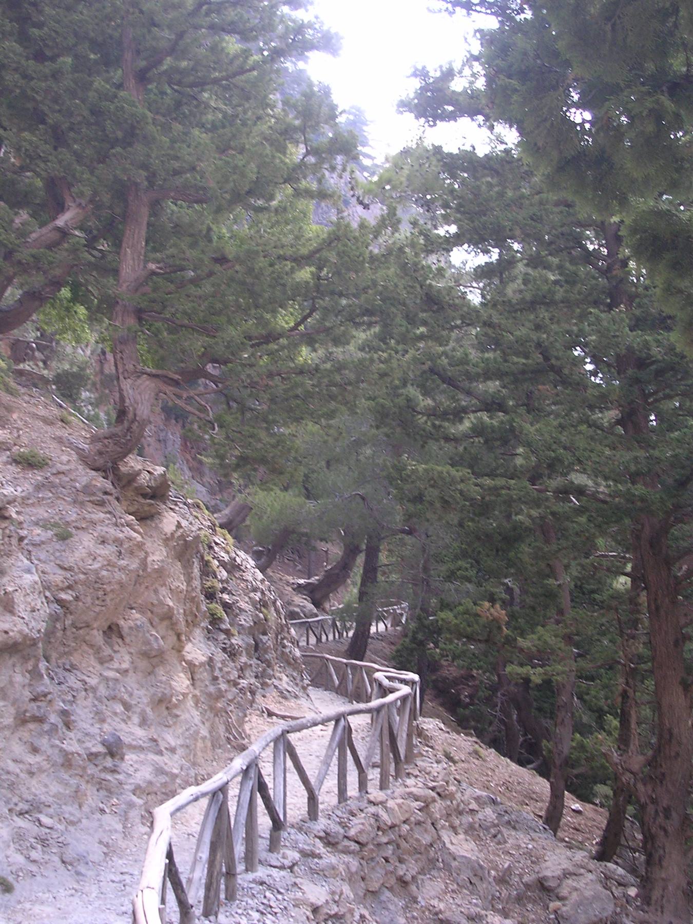 Gole di Samaria