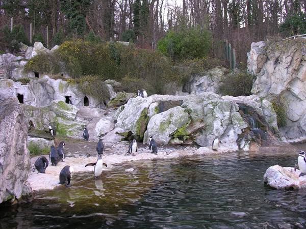 Tiergarten