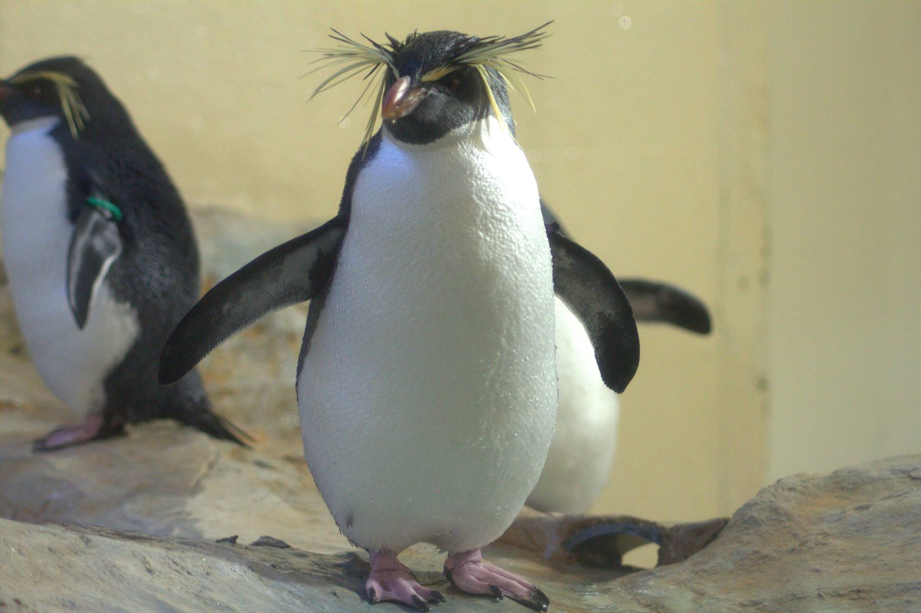 Tiergerten
