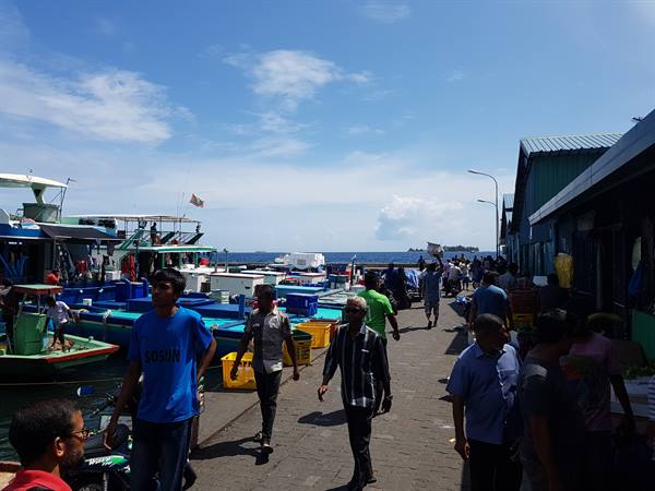 Malé near the market