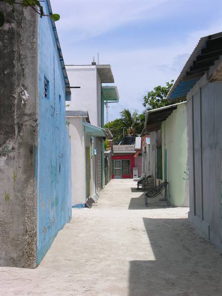 Wandering around the Island