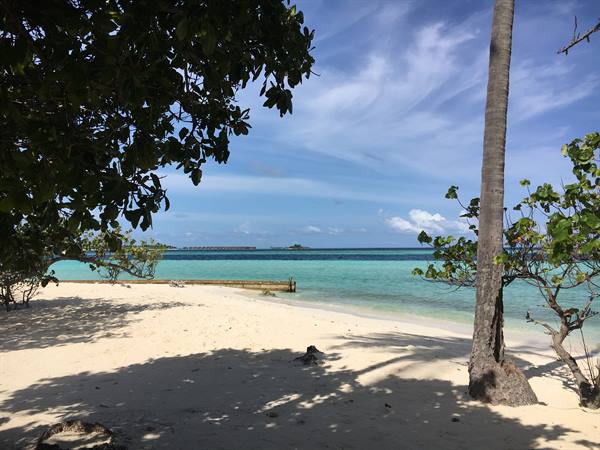 Wandering around the Island