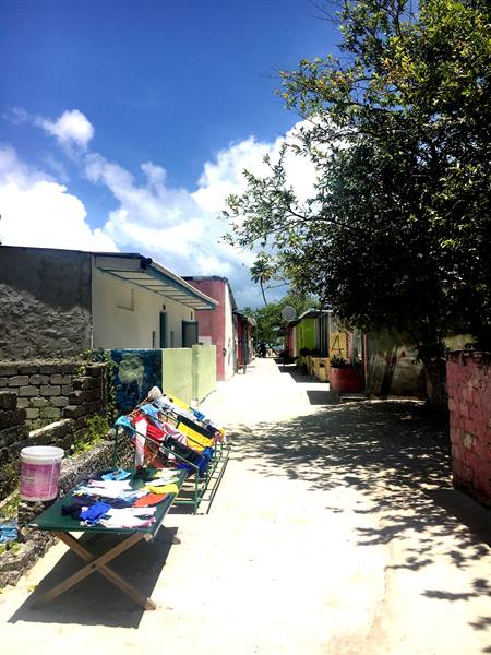 Wandering around the Island