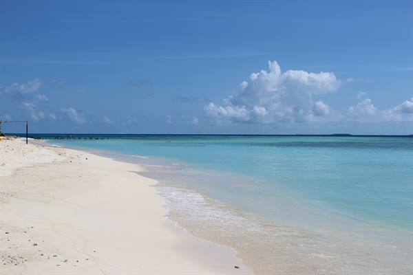 Bikini Beach