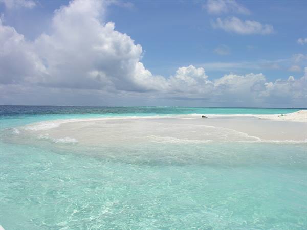 Sandbank