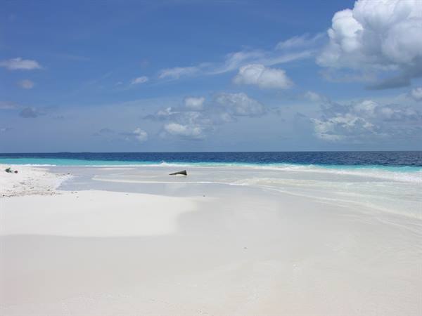 Sandbank