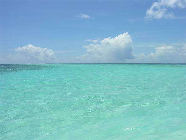 Sandbank