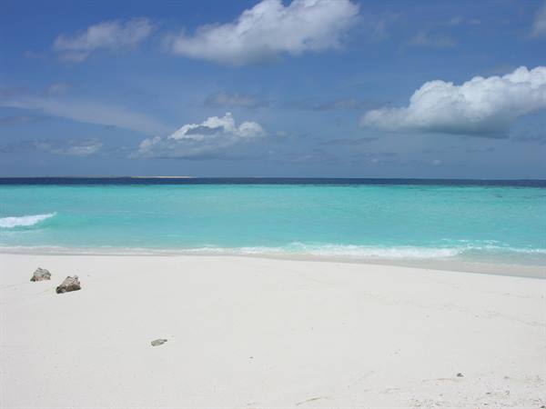 Sandbank