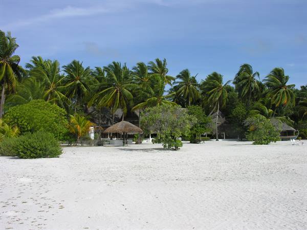 The beach to the north
