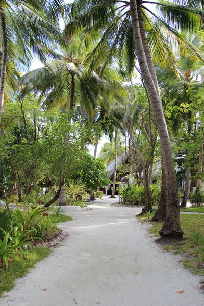 Wandering around the island
