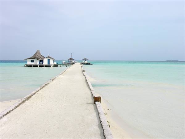 Pier in the morning