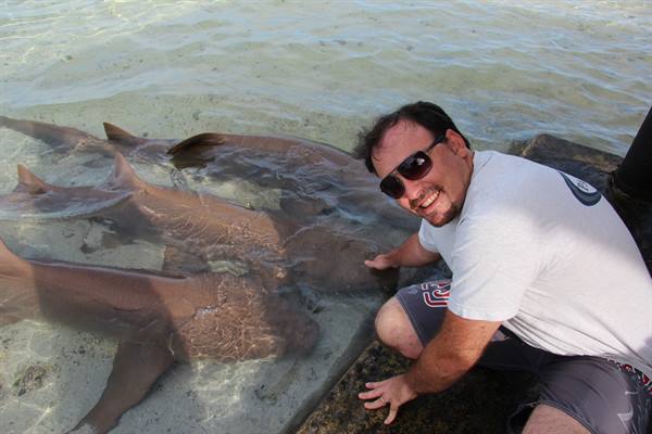Nurse sharks