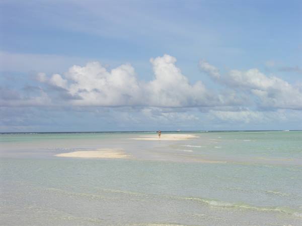 Sandbank on the north side