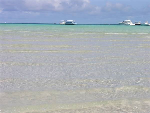 The beach to the north