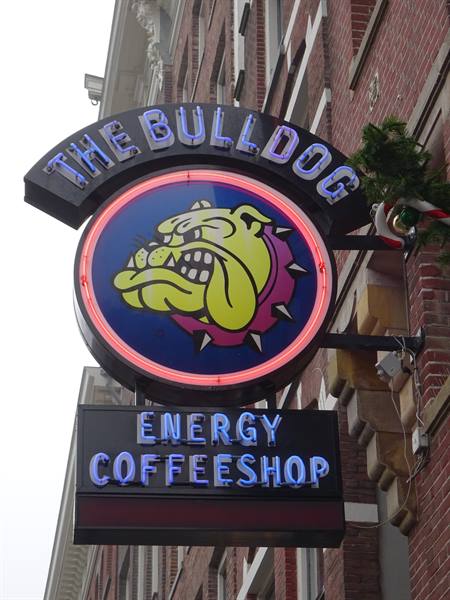 Amsterdam - The famous Bulldog Coffee Shop