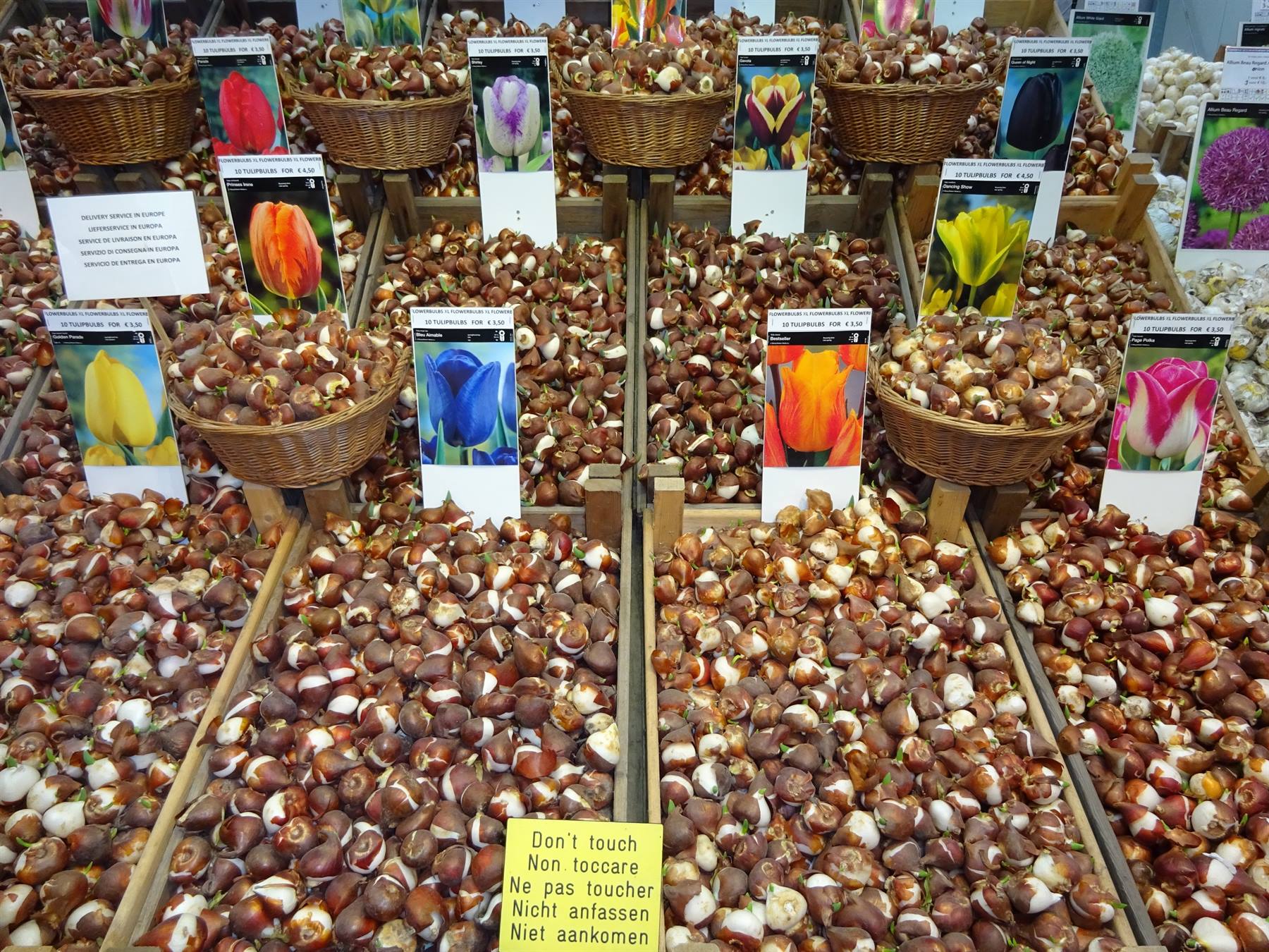 Amsterdam - Il mercato galleggiante