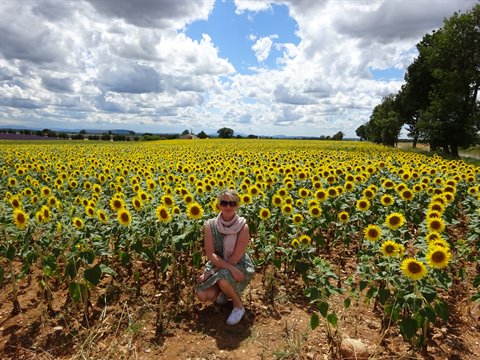 Woman crouching in a blooming sunflower field, cloudy sky